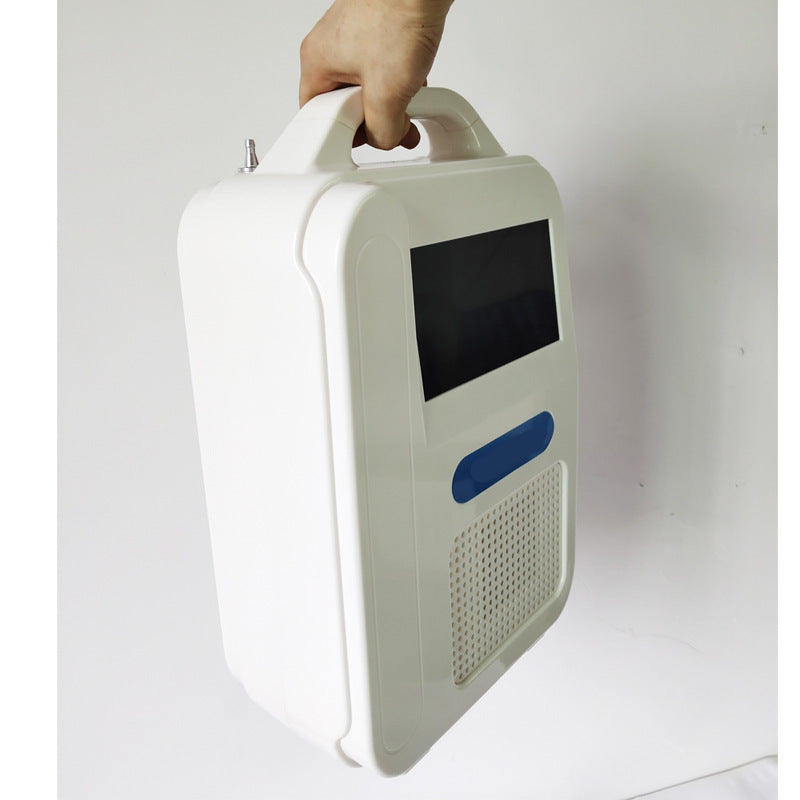 Portable Oxygen Concentrator Air Purifier Ventilator My Store