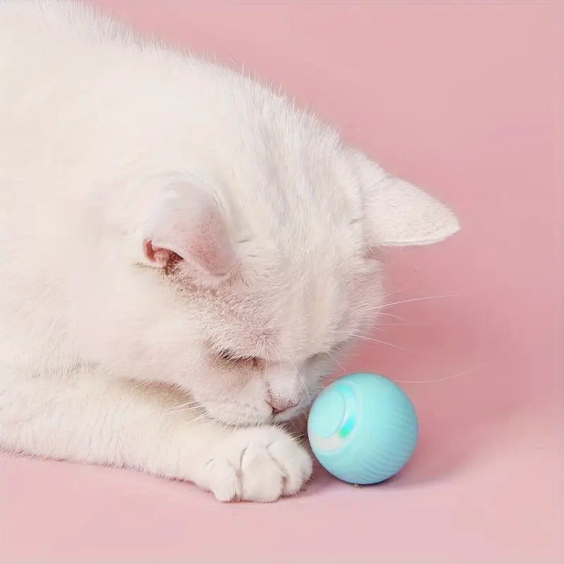 Smart Pet Teasing Ball Mojo