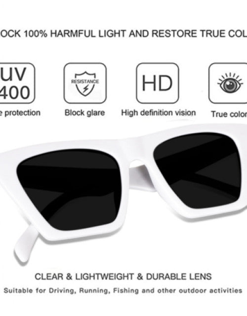 Protection, Riding Glasses Cat-eye Sunglasses (Free Size) (For Men & Women, Black) Dropdash