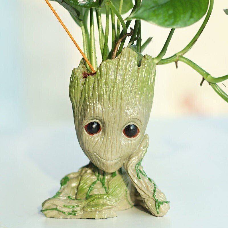 Seeds Good Luck Money Plant with Groot Vase - My Fashion Sell