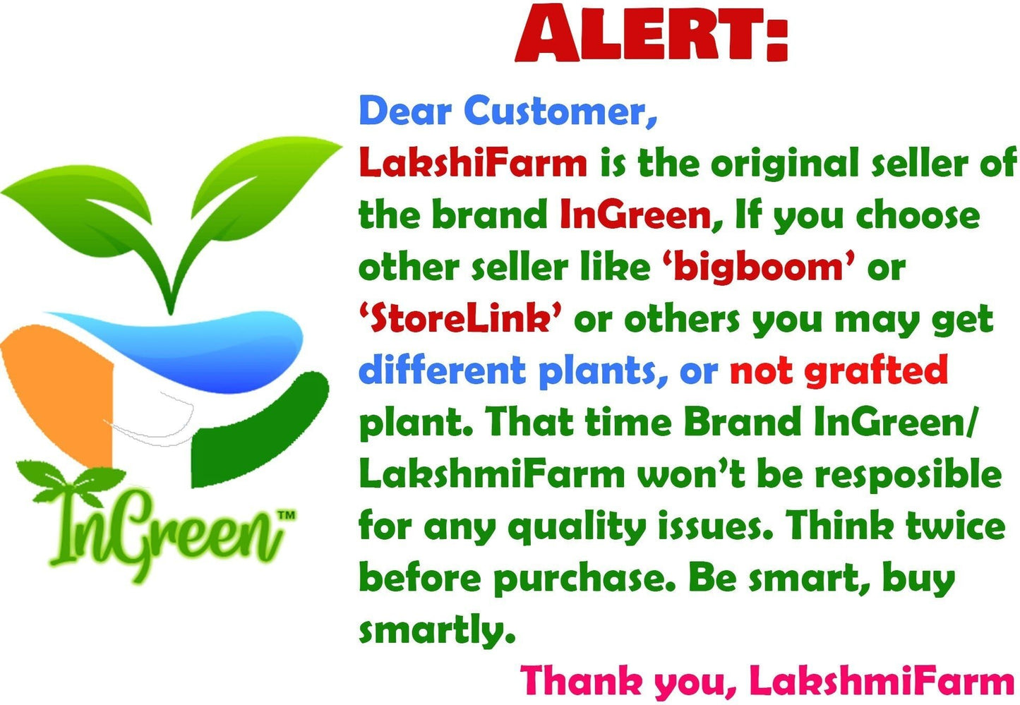 Seeds Hybrid Banana Live Plant for Higher Production - My Fashion Sell