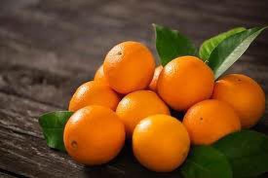 Seeds Hybrid Sweet Orange Plant - My Fashion Sell