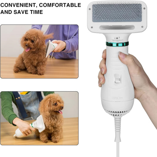 Pet Grooming Dryer Mojo