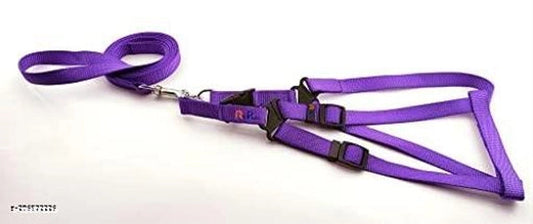 Fabric Harness with 5 Feet Leash for Dog (Multicolor, 1 inches) (Set of 1) 15929