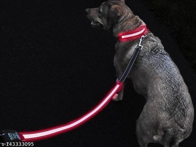 Cotton 0.1 inches Harness with 5 Feet Leash for Dog (Multicolor, S) (Set of 1) 15929