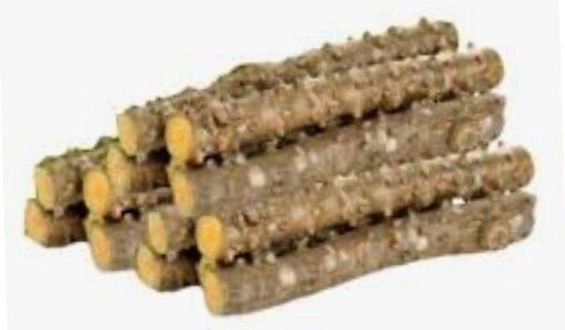Seeds Giloy Sticks - My Fashion Sell
