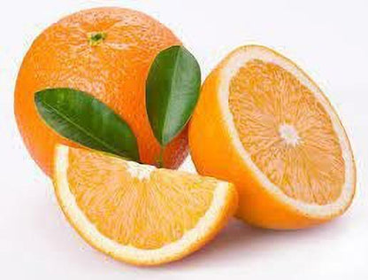 Seeds Hybrid Sweet Orange Plant - My Fashion Sell