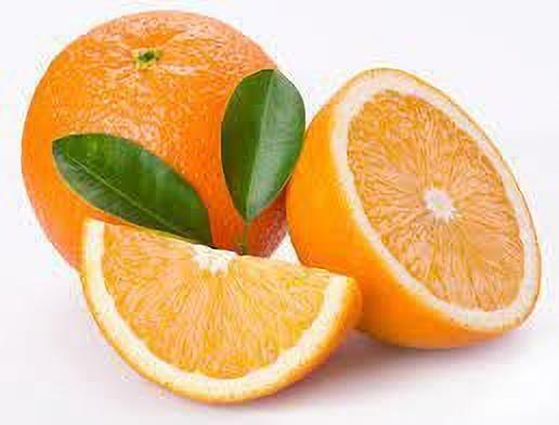 Seeds Hybrid Sweet Orange Plant - My Fashion Sell