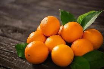 Seeds Hybrid Sweet Orange Plant - My Fashion Sell