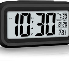 Deer Head Key Holder