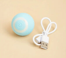 Smart Pet Teasing Ball