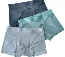 Wellness Boost Japanese Boxer Shorts