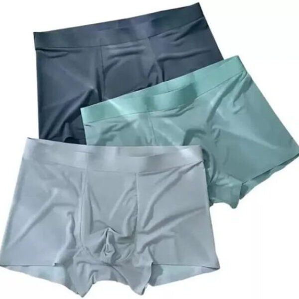 Wellness Boost Japanese Boxer Shorts