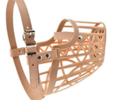 ABS Plastic Size 3 No. Muzzle for Dog (Multicolor)