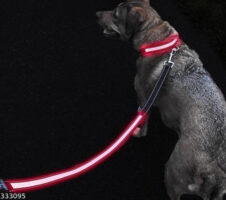 Cotton 0.1 inches Harness with 5 Feet Leash for Dog (Multicolor, S) (Set of 1)