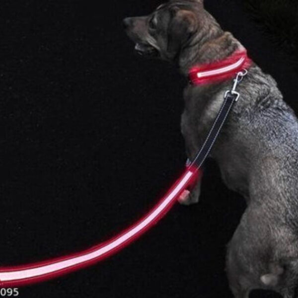 Cotton 0.1 inches Harness with 5 Feet Leash for Dog (Multicolor, S) (Set of 1)