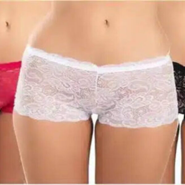 Net Briefs for Women (Multicolor, XXL) (Set of 3)