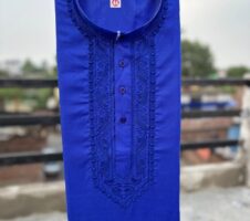 Cotton Embroidered Kurta for Men (Royal Blue)