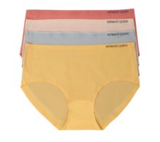 Lemon Bae Seamless Bikini Style Quick Dry Underwear For Women (Pack of 3)