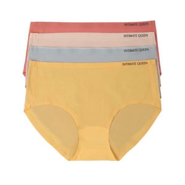 Lemon Bae Seamless Bikini Style Quick Dry Underwear For Women (Pack of 4)