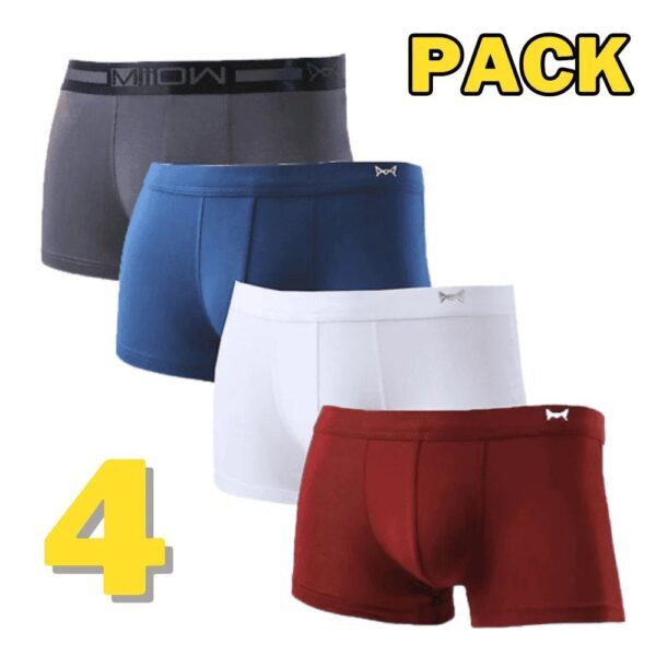 Men's Cotton Stretch Trunks (pack Of 4)