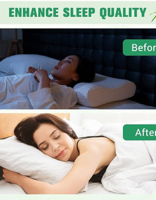 multipurpose-motorcyclecycle-chain-cleaner-brush-bike-chain-clean-brush-1726924810 Adhesive Body and Foot Patches 10 Dropdash