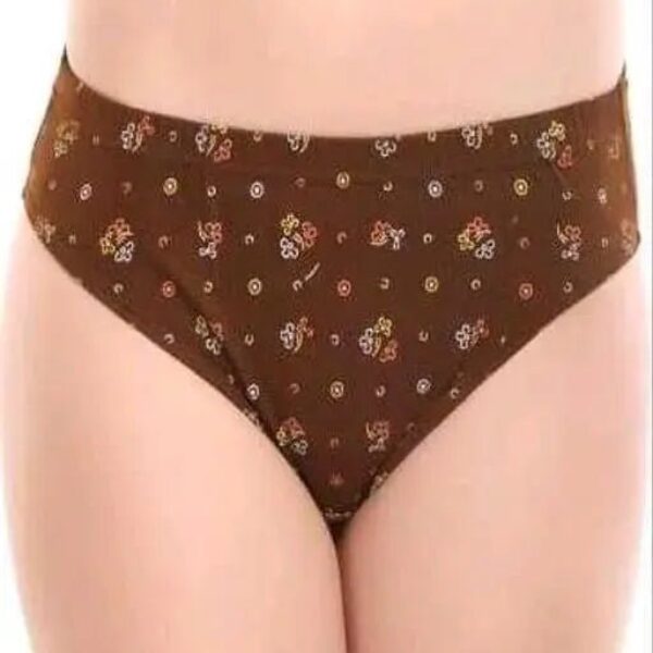 Pack of 4 Women Hipster Multicolor Panty