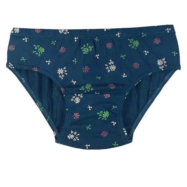 Pack of 5 Women Hipster Multicolor Panty