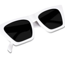 Protection, Riding Glasses Cat-eye Sunglasses (Free Size) (For Men & Women, Black)