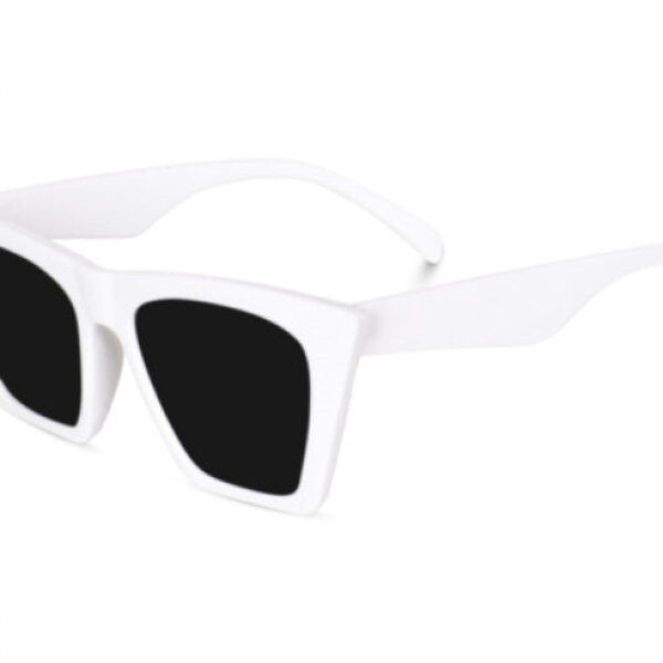 Protection, Riding Glasses Cat-eye Sunglasses (Free Size) (For Men & Women, Black)