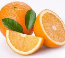 Seeds Hybrid Sweet Orange Plant