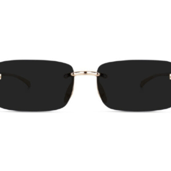 UV Protection Retro Square Sunglasses (Free Size) (For Men & Women)