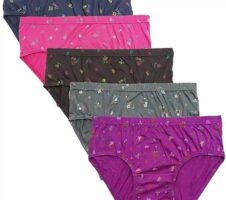 Women Underwear Seamless (pack of 4)